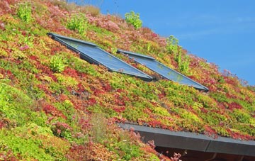 Bathford living roof systems